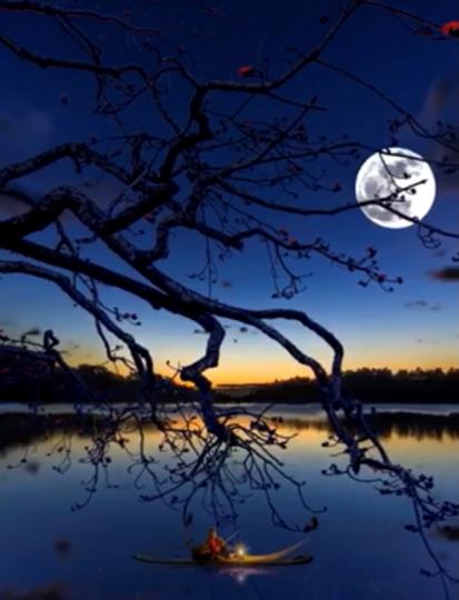 月夜泛舟
月夜泛舟是多麼浪漫啊！...