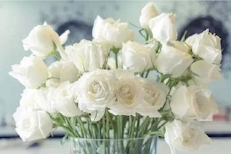 花語
賞花要懂花語， 花語是各國、各民族根據各種植物，尤其係花卉 的特點、 習性 和傳說典故，賦予的各種不同的人性化象徵意義。 是指人們用花來表達人的語言。表達人的某種感情與願望。
花語最早起源於古希...