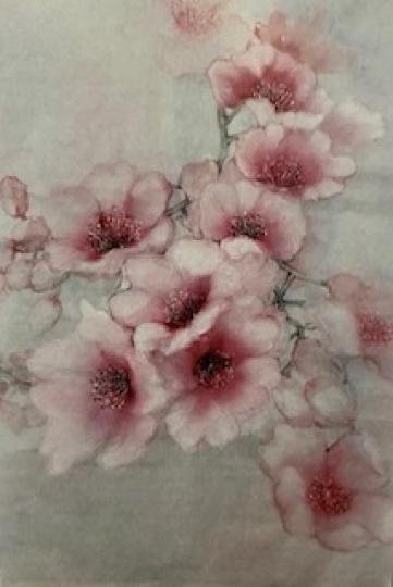 櫻花寫生
櫻花寫生有水墨畫元素，但有淡淡顏色，很特別。...