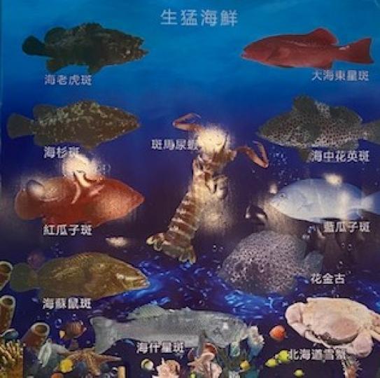 海鮮

想不到普通酒樓都有那麼多生猛海鮮。...