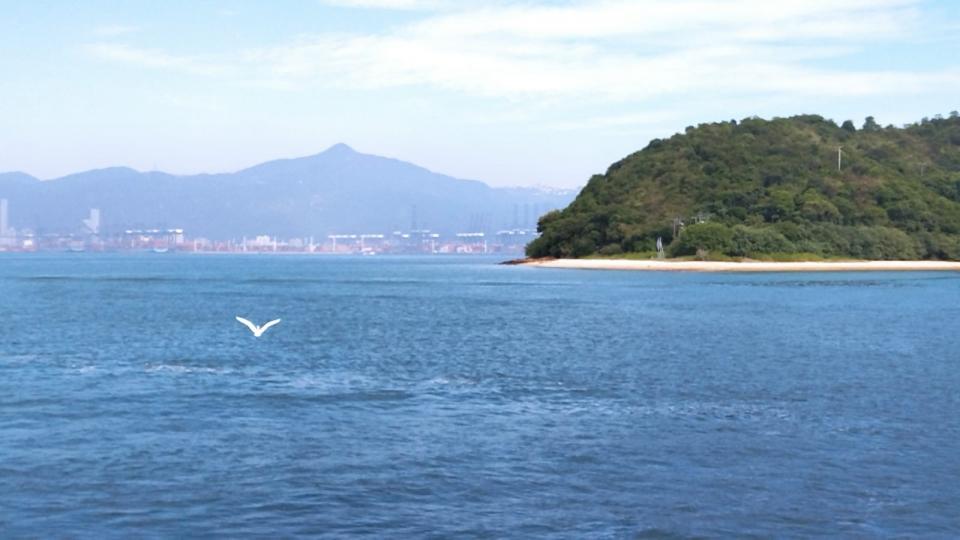 海鷗

白色的海鷗在海面上飛翔令整個海景生色不少。...