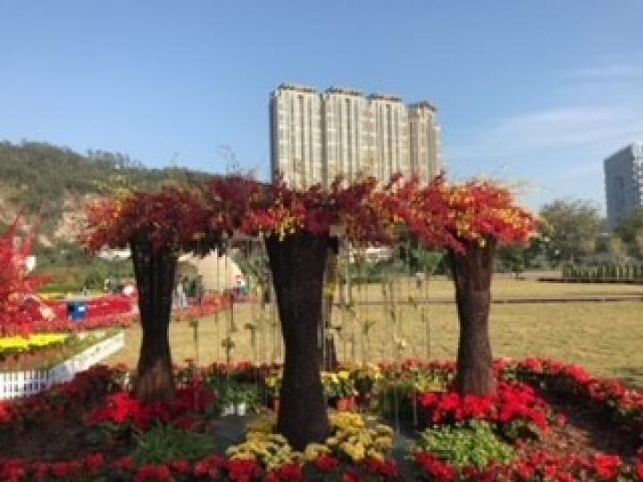 深圳蓮花山公園
深圳蓮花山公園是我以往十多年常到的地方，暫時只可等通關才可重溫舊地。...