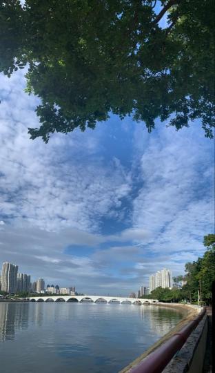 美景

遠看城門河美景不錯，急不及待拍下。...