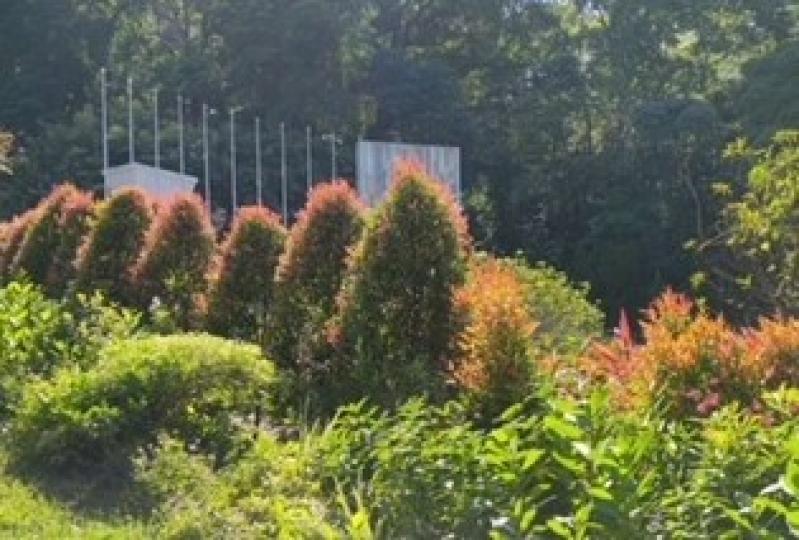 園藝

花園內園丁悉心的打理，把植物最美的外形和顏色表現出來，由此可見園藝的重要性。...
