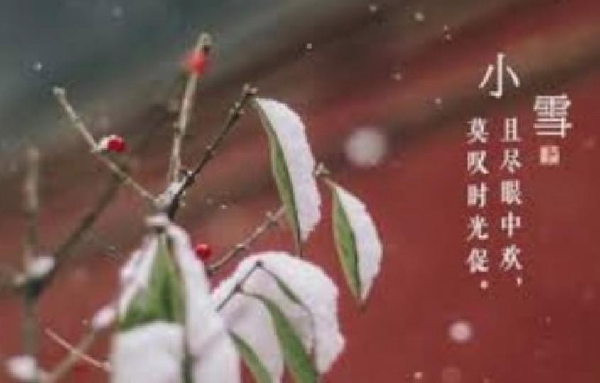 小雪保腎食療、養生和抗衰老知識
昨天是小雪，隨着氣候轉冷，應逐漸添衣，避免寒氣侵體。 冬天腎氣當令，養腎最好的時間。腎是先天之本，是五臟六腑的元首，腎氣足則神清氣爽、耳聰目明、頭髮烏亮濃密、健步如飛、...