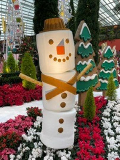 雪人
無論是真雪做的雪人還是人做的雪人我都欣賞。...