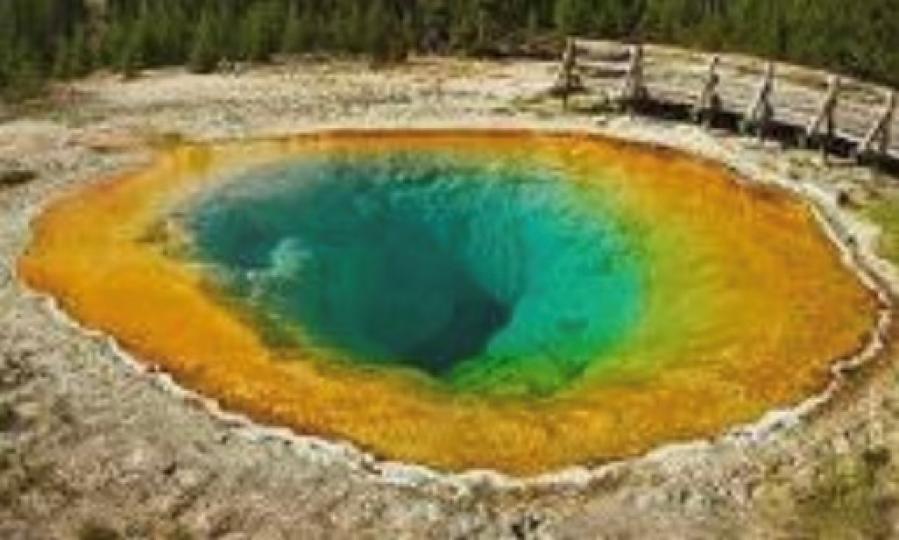 大棱鏡温泉


大棱鏡温泉（The Grand Prismatic Spring)位於黃石國家公園,又稱大虹彩溫泉, 是美國最大，世界第三大的溫泉。大棱鏡溫泉的美在於湖面的顏色隨季節而改變，春季，湖面...