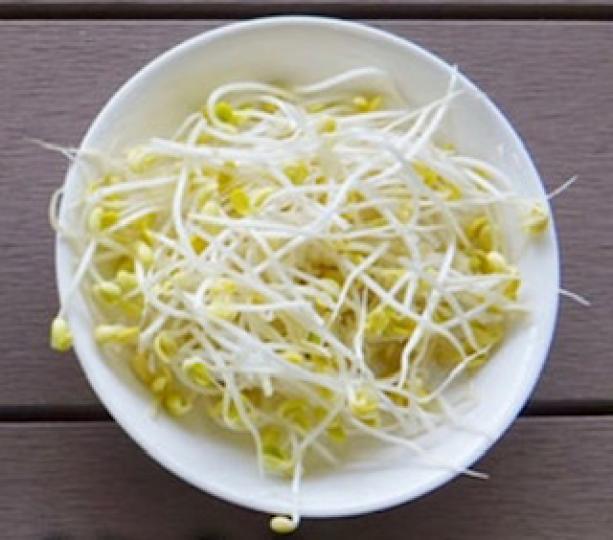 黃豆芽
黃豆芽含豐富膳食纖維,屬蔬菜類,是補充膳食纖維者很好的蔬菜來源,此外更含有大量的維生素A與β-胡蘿蔔素。
我最愛吃黃豆芽菜炒肉鬆,百吃不厭。... 黃豆芽
黃豆芽含豐富膳食纖維,屬蔬菜類,是補充膳食纖維者很好的蔬菜來源,此外更含有大量的維生素A與β-胡蘿蔔素。
我最愛吃黃豆芽菜炒肉鬆,百吃不厭。...