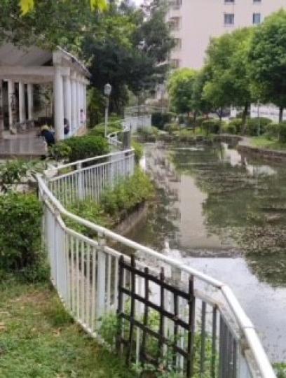 小區休憩亭

國內城市小區休憩亭清靜空氣好，散步、乘涼、練習拍攝景色都是消閒節目之一。...
