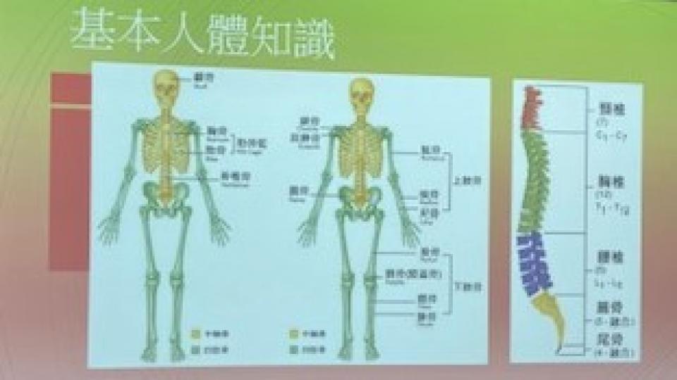 温故知新

上生物課時對人體的構造已有識，隨著年紀大了，一切都交回老師，所以温故知新對我來說很重要。...