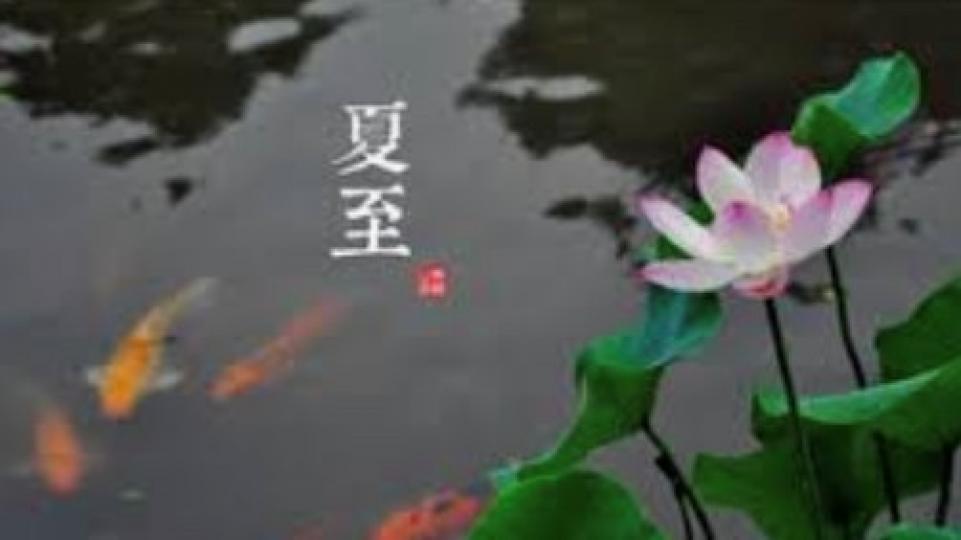 夏至 
今天是夏至，天氣潮濕炎熱，飲食宜清淡。清熱去濕湯水推介有苦瓜黃豆豬骨湯、蓮藕綠豆薏仁湯、扁豆赤小豆節瓜湯和荷葉冬瓜薏仁湯。...
