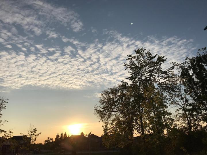 黃昏賞雲
我喜歡優閒地賞雲,魚鱗雲有平靜的美態,加上黃昏金光閃閃的落曰,美景盡在眼前,令我感到幸福又舒暢。... 黃昏賞雲
我喜歡優閒地賞雲,魚鱗雲有平靜的美態,加上黃昏金光閃閃的落曰,美景盡在眼前,令我感到幸福又舒暢。...