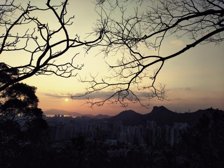 年初一的黃昏

昨天是年初一，黃昏的景色不錯。...