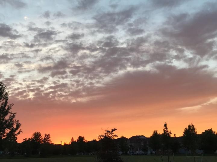 曰落的天空

李商隱「登樂游原」中的夕陽無限好，只是近黃昏使我更珍惜欣賞日落天空的美。...
