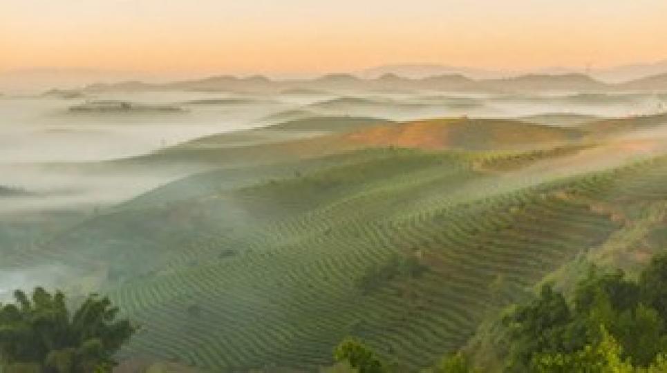 景邁山
雲南景邁山是普洱茶原生地，入選美國「國家地理」雜誌2022年世界風光之最佳歷史文化名勝。...