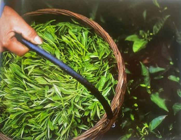 三峡茶葉
宜昌西部山巒起伏是絕佳的茶葉種植，九碗溪的絲綿茶、鹿苑茶等茶十分著名。...
