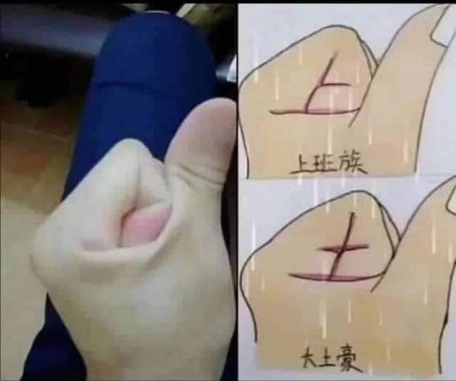 小遊戲
請拿出你的左手，看看你是「上」字？抑或「土」字？便知道你是上班族還是大土豪了。...