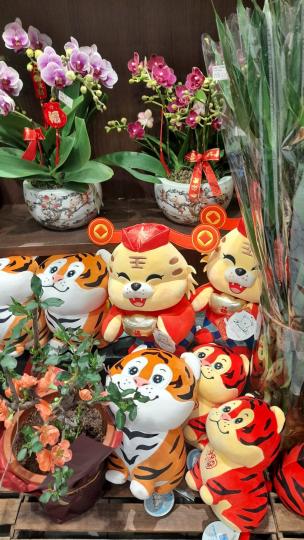 小型花市
今年沒有大型花市，但小型花店成了小型花市，有不少年花和應年的老虎飾物供市民購買。...