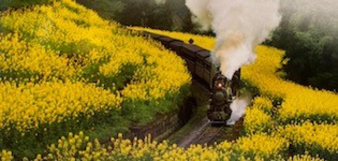 嘉陽小火車
小火車沒有被公共汽車取代，成為了全世界唯一一列現存的客運小火車，也是唯一仍在運營的窄軌蒸汽火車，觀光價值並吸引不少中國和海外遊客到訪。保留後的嘉陽小火車在2007年6月成為四川省文物保護單...