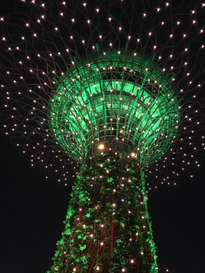 夜景
星加坡海濱花園晚上燈色很美，一棵棵燈樹遠遠也可以見到，非常吸晴。...