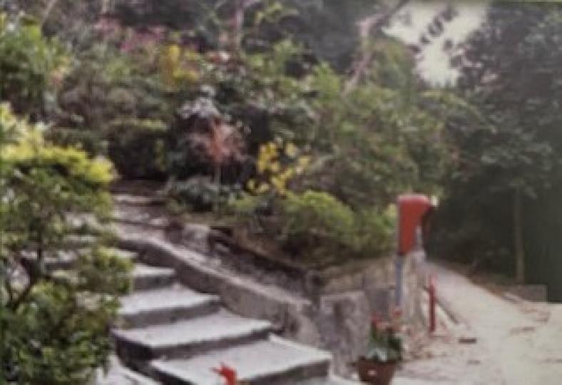 金督園

行山除了是想運動外，我還喜歡欣賞沿途風景和名勝。從港島金督馳馬徑到大潭，金督園是景點之一。...