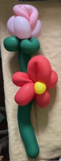 扭氣球

上週日嘉年華會中學習扭兩款花花氣球，相當有趣。...