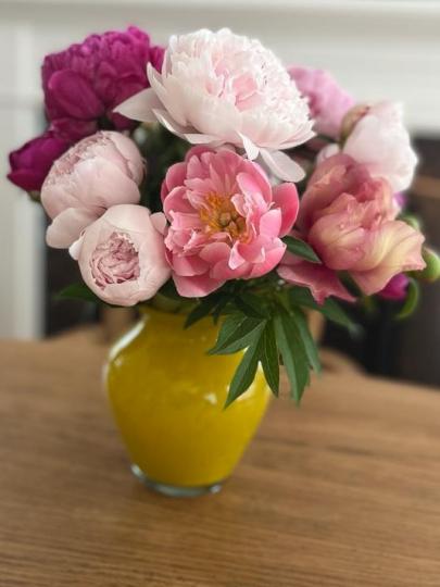 牡丹花

這瓶牡丹花不是甚麼名種，但肯定是「愛心」牡丹，因是來自鄰居種和送贈的。...