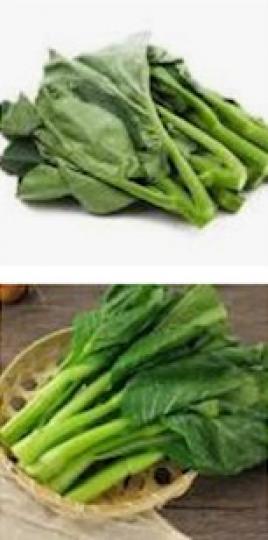 蔬菜儲存方法
菜芯、芥蘭等都是港人常吃的蔬菜,若購買後沒有適當處理,一般都不能保存太多天。其實只要選擇較乾身的蔬菜,再用抹手紙包裹,放入保鮮袋儲存,便可延長保存期限。... 蔬菜儲存方法
菜芯、芥蘭等都是港人常吃的蔬菜,若購買後沒有適當處理,一般都不能保存太多天。其實只要選擇較乾身的蔬菜,再用抹手紙包裹,放入保鮮袋儲存,便可延長保存期限。...