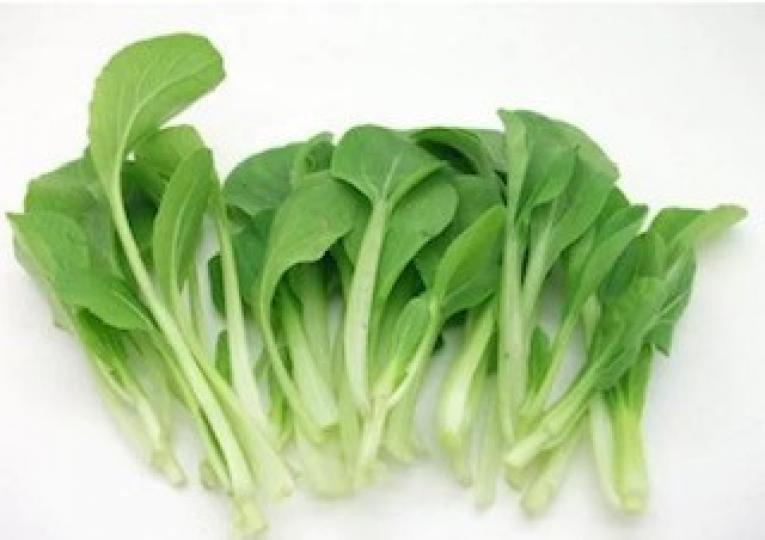 鷄毛菜
雞毛菜又名青菜、小白菜、上海青,是十字花科蔬菜大白菜的變種,為含維生素和礦物質最豐富的蔬菜之一,而且雞毛菜是小白菜的嫩苗,口感和質地更為柔嫩,味道清香,是大眾特別喜歡的一種蔬菜。... 鷄毛菜
雞毛菜又名青菜、小白菜、上海青,是十字花科蔬菜大白菜的變種,為含維生素和礦物質最豐富的蔬菜之一,而且雞毛菜是小白菜的嫩苗,口感和質地更為柔嫩,味道清香,是大眾特別喜歡的一種蔬菜。...
