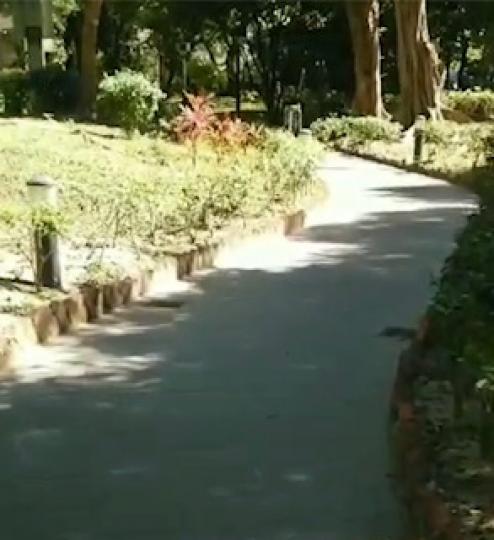 散步
每個公園都總有一些寧靜，空氣清新和可以一邊散步，順便晒下太陽。...