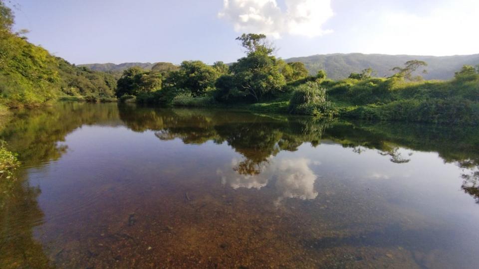倒影
天朗氣清，水又清澈便可以看到倒影。...