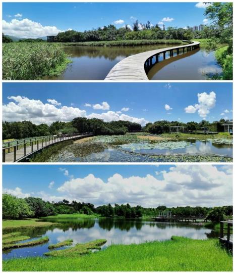 濕地公園

炎夏的濕地公園常常可以看到藍天白雲，喜歡拍攝的一定有佳作。...