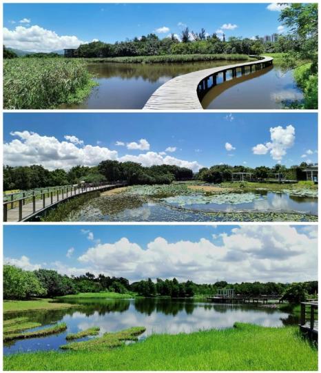 濕地公園

炎夏的濕地公園常常可以看到藍天白雲，喜歡拍攝的一定有佳作。...
