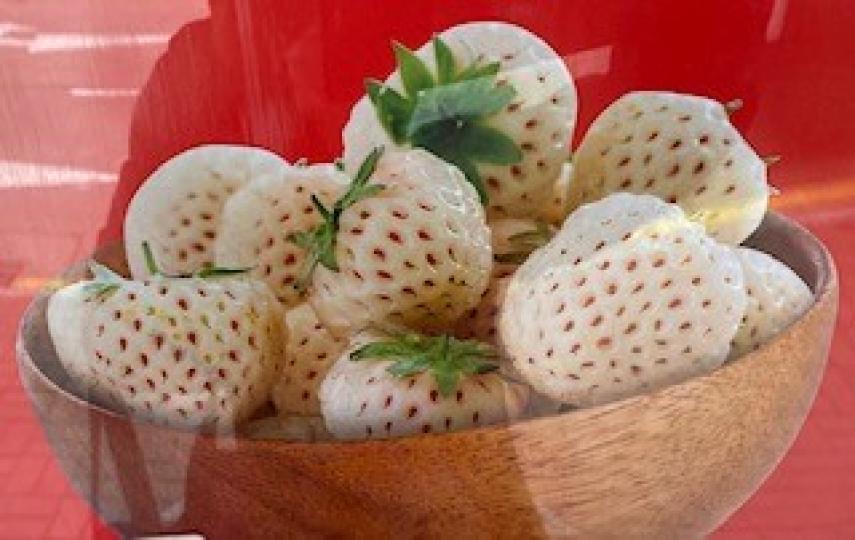 士多啤梨

白天使士多啤梨是日本品種，清香甜美。...