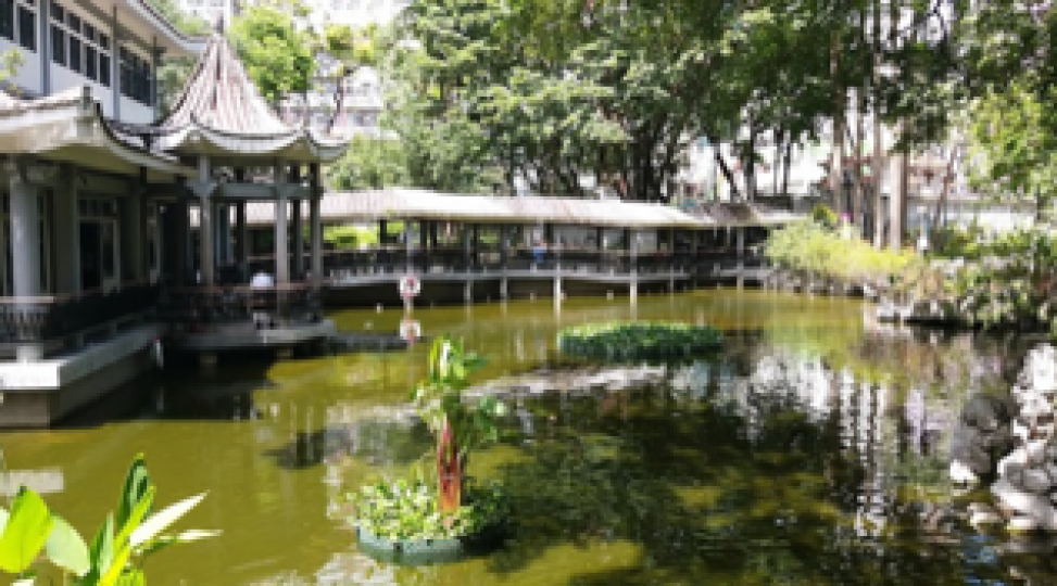 荃灣華德公園
荃灣華德公園是一中式園林公園，公園設有基本無障礙設施，包括出入口、通道和暢通易達洗手間，設計充份考慮輪椅和行動不便人士的需要。大部份高低不平的地方設有斜道，而斜道較為平坦，輪椅人士可輕易...