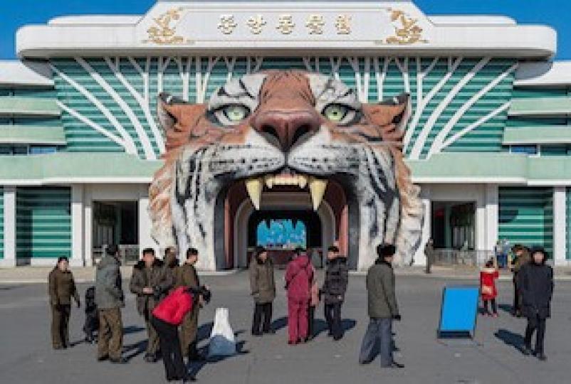 朝鮮中央動物園
朝鮮中央動物園又稱為平壤動物園，園中飼養動物
650種，合計超過5,000隻動物。動物園入口以「虎口」做大門口，很特別。...