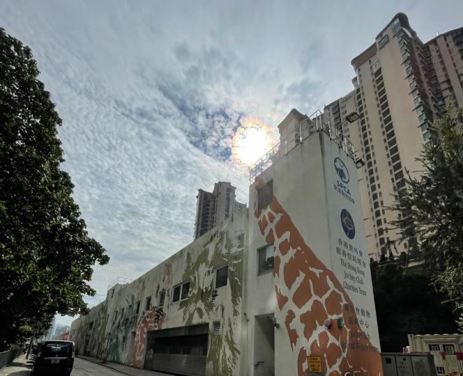 無意中影到太陽🌞似個水晶球...