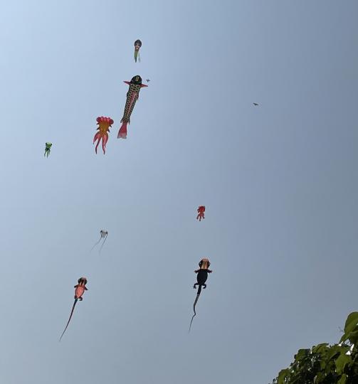 大埔海濱公園天空上出現很多異形（風箏）...