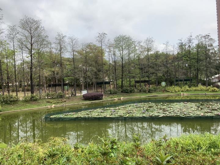 青衣公園環境似郊外般優美，假期好去處...