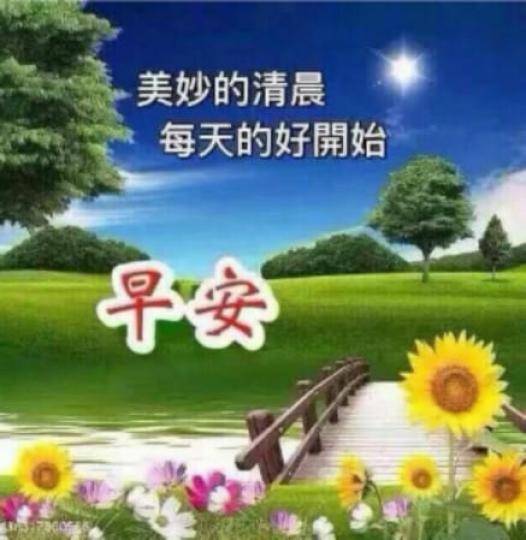 早晨！願大家每天都美好！精神爽利！...