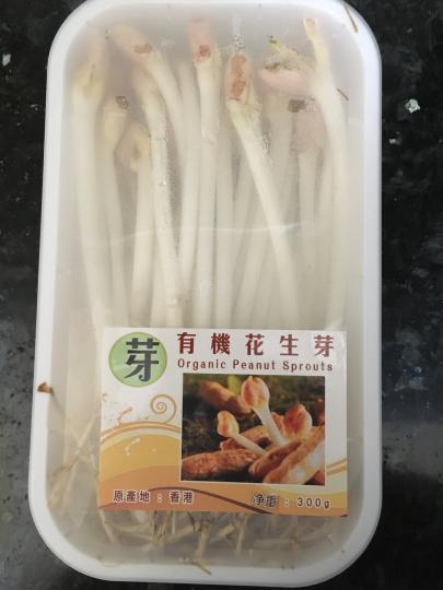 聽講有益未食過試吓先...