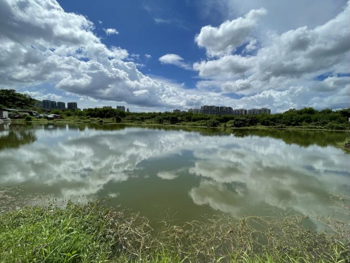 早安！雖然池塘水不清，但雲景也美...