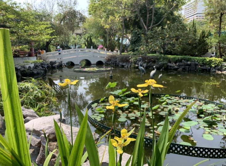 很多公園都有池塘小橋，園藝設計美觀值得一遊及拍攝...