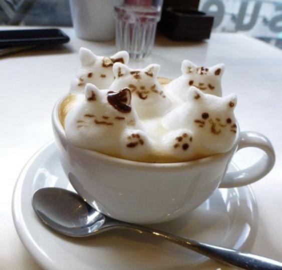 開心貓咪泡泡咖啡好可愛...