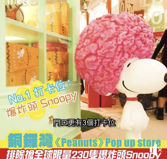 爆炸頭🤯Snoopy 幾特別造型...