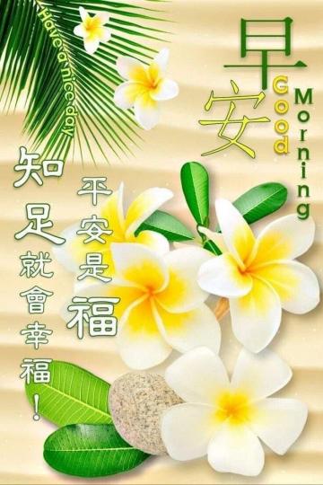 早晨！願大家平安幸福！欣賞靚花也是幸福！...