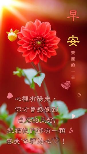 即使天陰但心裡有陽光就覺得幸福...