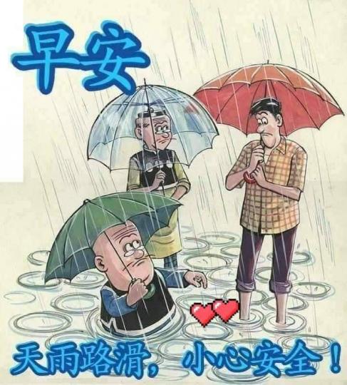 早晨今天天雨路滑🌧️，大家小心呀...