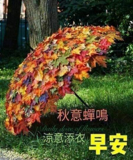 留意早晚溫差，添衣保暖，注意健康！...