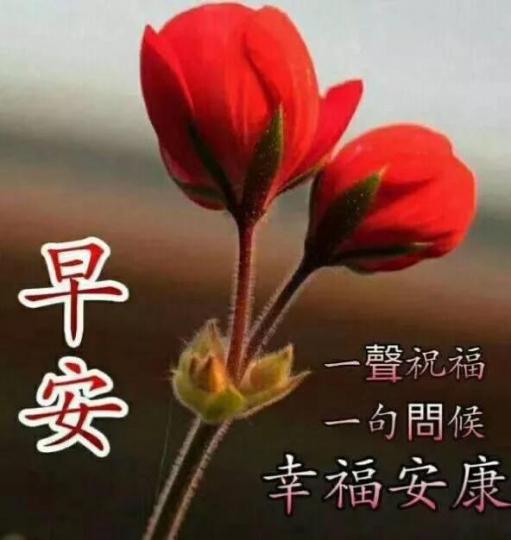 早晨！祝福幸福安康！...